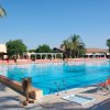 Piscina ampia circondata da palme e sedie a sdraio.